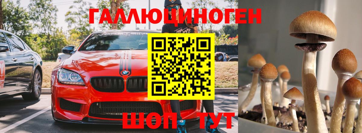 где можно купить   Вход с VPN  Магнитогорск  Псилоцибиновые грибы MAGIC MUSHROOMS 